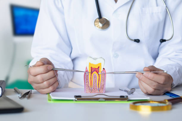 Best Tooth Infection Emergency Dentist  in Bainbridge Island, WA
